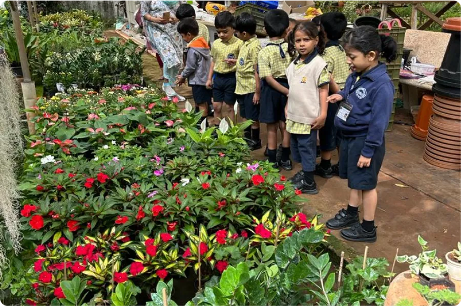 Nature Walks and Gardening